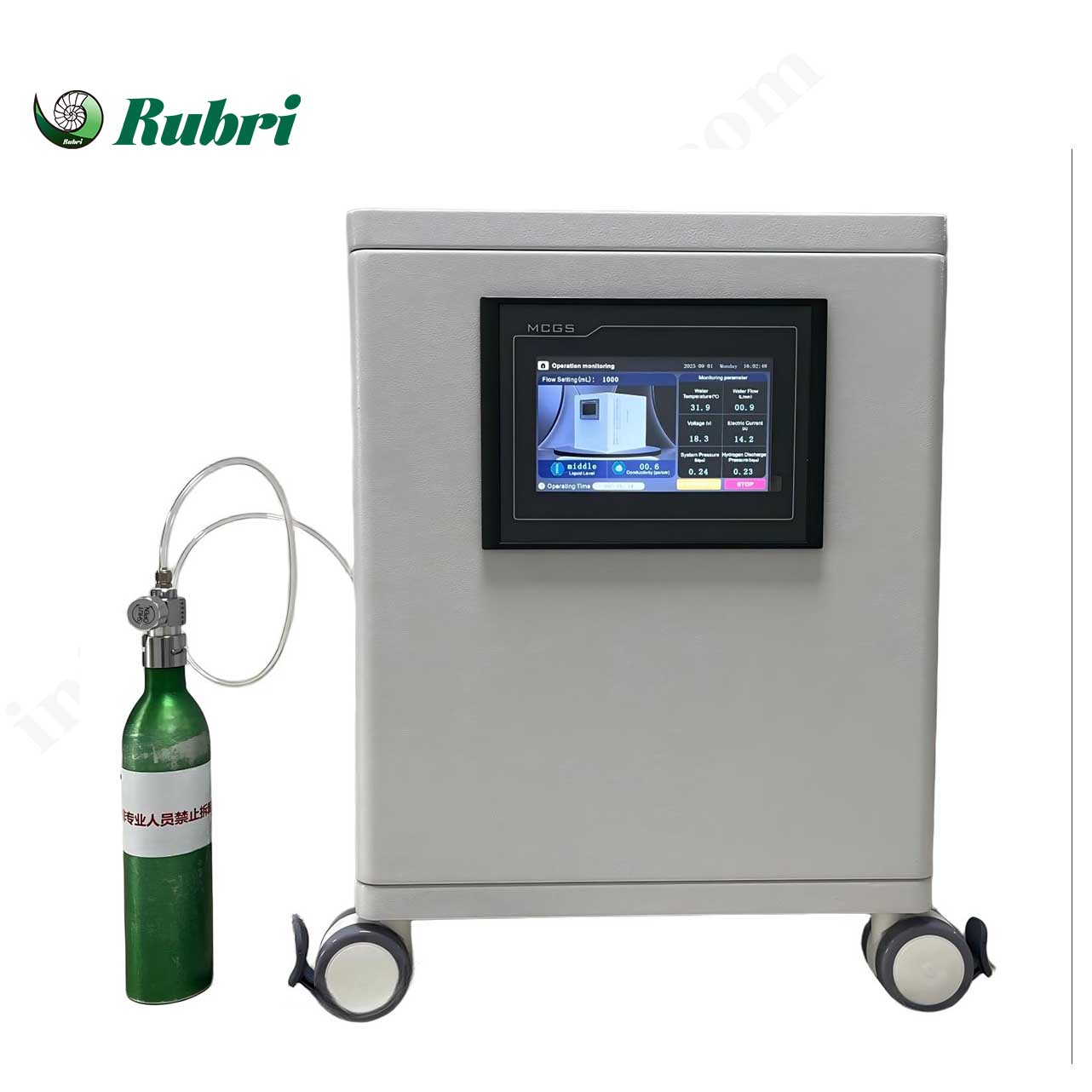 Generator de hidrogen PEM mic Rubri-P3-1000